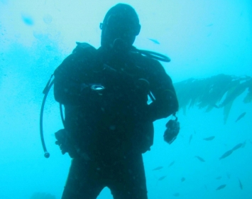 Santa Monica Pier Aquarium Diver